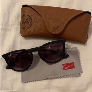 Ray-Ban Erika Sunglasses